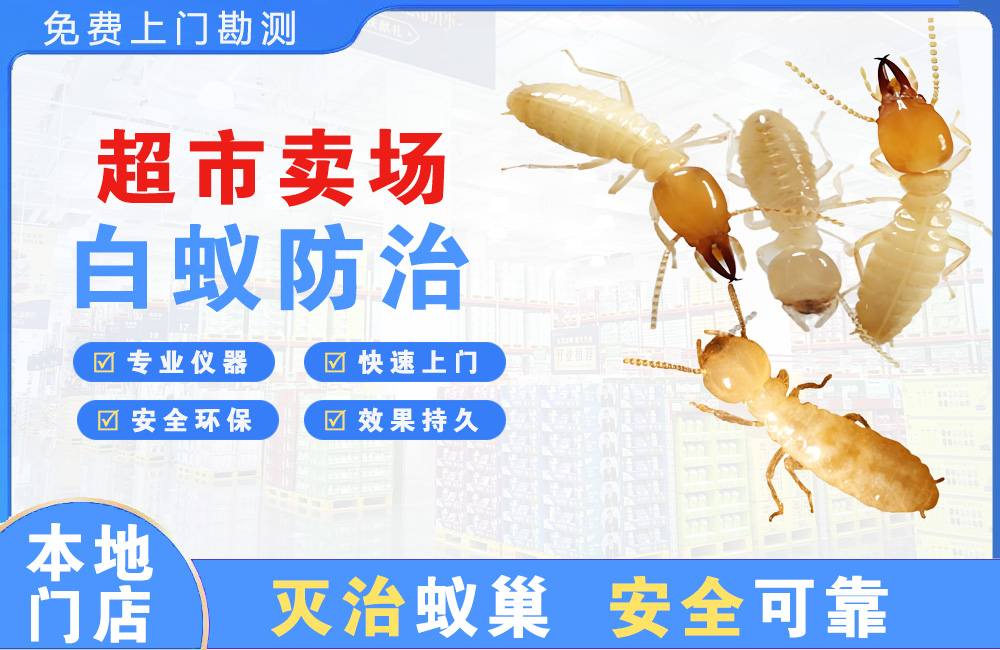景洪超市卖场白蚁防治