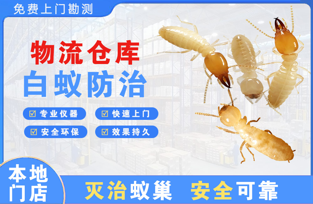 景洪物流仓库白蚁防治