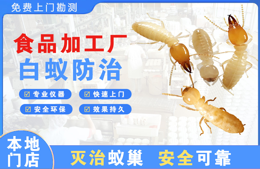 景洪食品加工厂白蚁防治