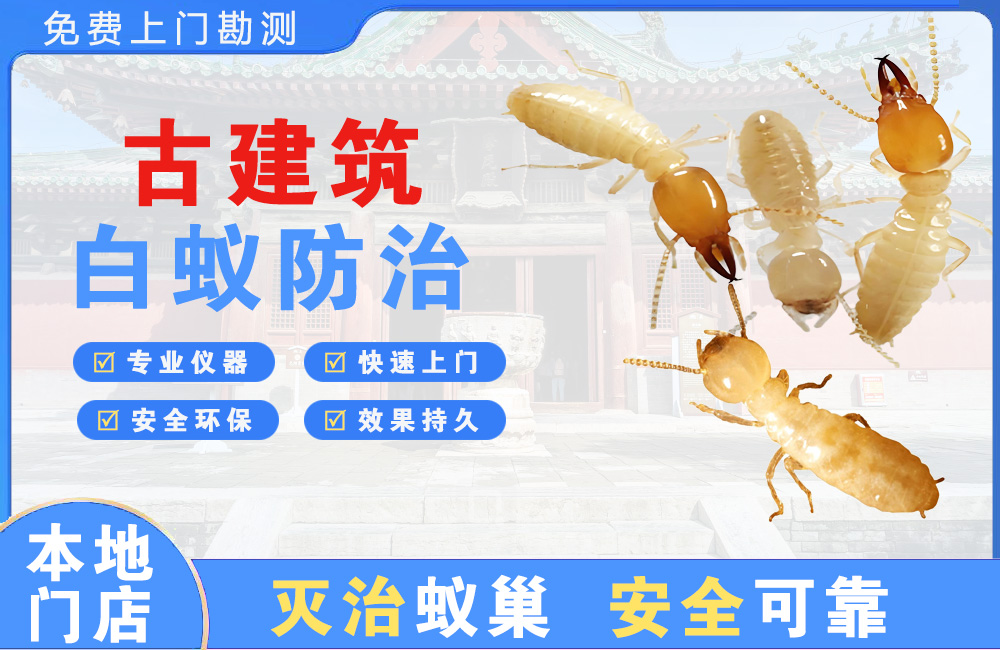 景洪古建筑白蚁防治