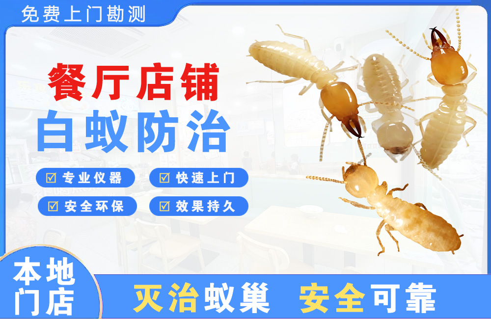 景洪餐厅店铺白蚁防治